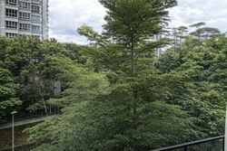 Blk 127C Kim Tian Green (Bukit Merah), HDB 3 Rooms #528934291